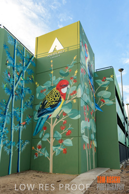 February 2019 / ASHFORD_CP_190225_083