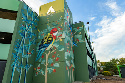 February 2019 / ASHFORD_CP_190225_084