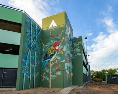 February 2019 / ASHFORD_CP_190225_086