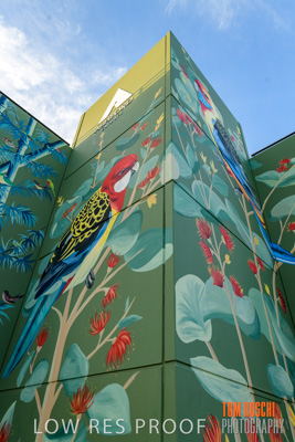 February 2019 / ASHFORD_CP_190225_088