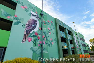 February 2019 / ASHFORD_CP_190225_091