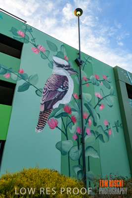 February 2019 / ASHFORD_CP_190225_092