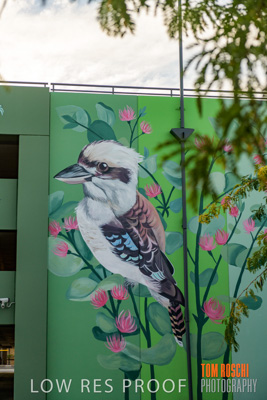 February 2019 / ASHFORD_CP_190225_095