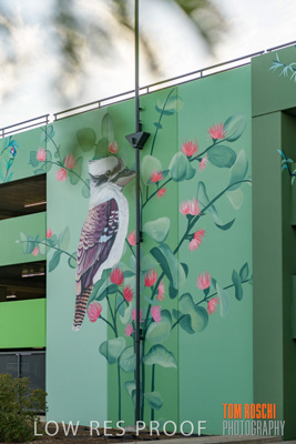 February 2019 / ASHFORD_CP_190225_097