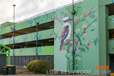 February 2019 / ASHFORD_CP_190225_098