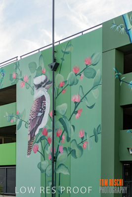 February 2019 / ASHFORD_CP_190225_099