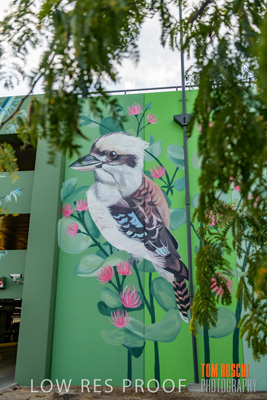 February 2019 / ASHFORD_CP_190225_100