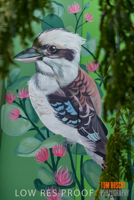 February 2019 / ASHFORD_CP_190225_102