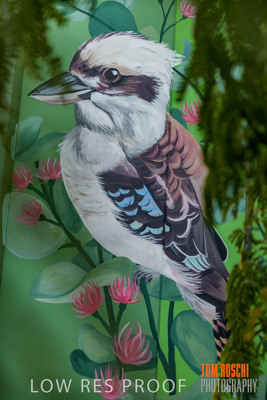 February 2019 / ASHFORD_CP_190225_103