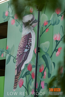 February 2019 / ASHFORD_CP_190225_108