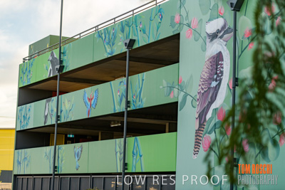 February 2019 / ASHFORD_CP_190225_109