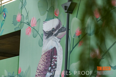 February 2019 / ASHFORD_CP_190225_111