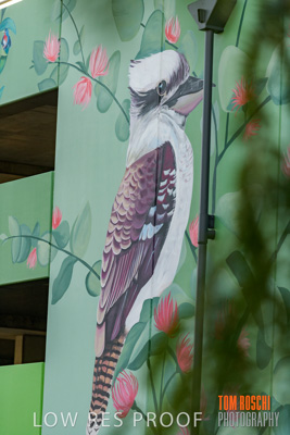 February 2019 / ASHFORD_CP_190225_112