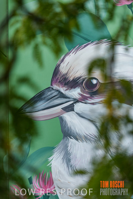 February 2019 / ASHFORD_CP_190225_114