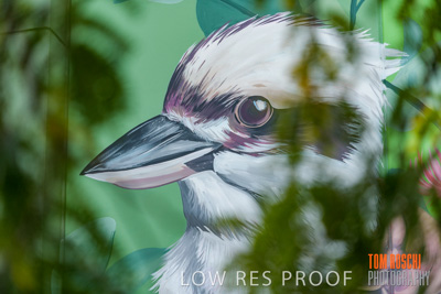 February 2019 / ASHFORD_CP_190225_116