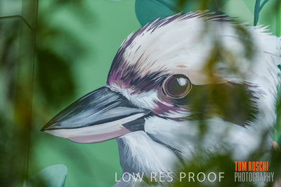 February 2019 / ASHFORD_CP_190225_117