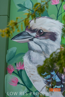 February 2019 / ASHFORD_CP_190225_118