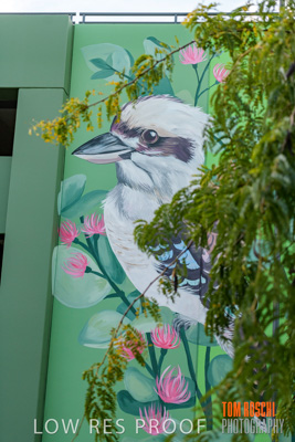 February 2019 / ASHFORD_CP_190225_119