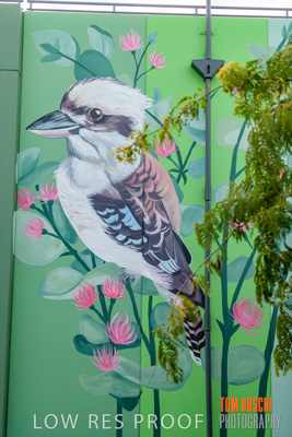 February 2019 / ASHFORD_CP_190225_120