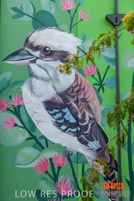 February 2019 / ASHFORD_CP_190225_121