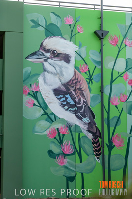 February 2019 / ASHFORD_CP_190225_122