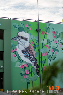 February 2019 / ASHFORD_CP_190225_123