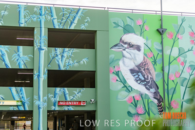 February 2019 / ASHFORD_CP_190225_124