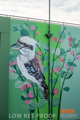 February 2019 / ASHFORD_CP_190225_125