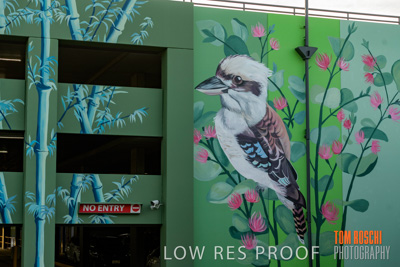 February 2019 / ASHFORD_CP_190225_126