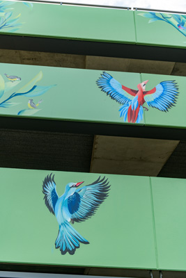 February 2019 / ASHFORD_CP_190225_130