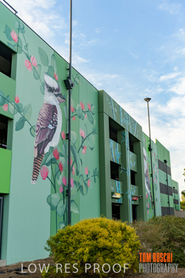 February 2019 / ASHFORD_CP_190225_131