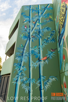 February 2019 / ASHFORD_CP_190225_132