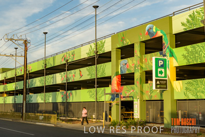 February 2019 / ASHFORD_CP_190225_134