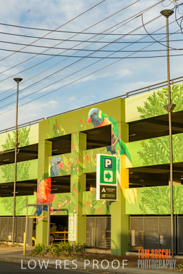 February 2019 / ASHFORD_CP_190225_135