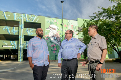 February 2019 / ASHFORD_CP_190225_150