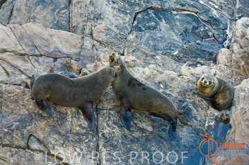 October 2006 / KI_ADMIRALS_ARCH_029_061014