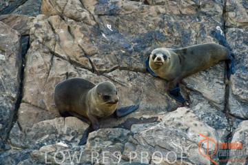 October 2006 / KI_ADMIRALS_ARCH_033_061014