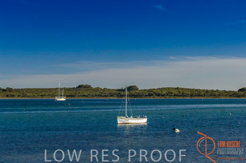 October 2006 / KI_AMERICAN_RIVER_009_061016