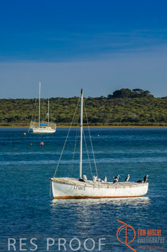 October 2006 / KI_AMERICAN_RIVER_015_061016