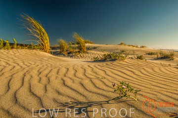 October 2006 / KI_ANTECHAMBER_BAY_004_061016