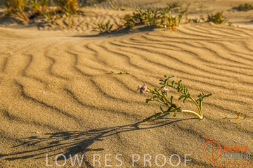 October 2006 / KI_ANTECHAMBER_BAY_005_061016