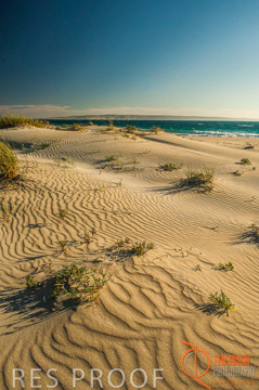 October 2006 / KI_ANTECHAMBER_BAY_006_061016