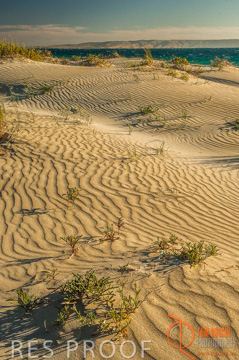 October 2006 / KI_ANTECHAMBER_BAY_008_061016