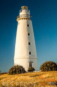 October 2006 / KI_CAPE_WILLOUGHBY_LH_028_061016