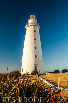 October 2006 / KI_CAPE_WILLOUGHBY_LH_030_061016