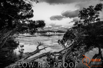 October 2006 / KI_CHAPMAN_RIVER_001_061015