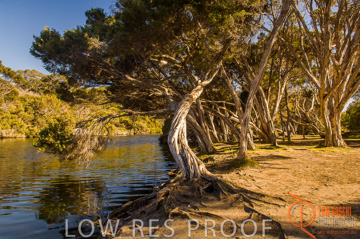 October 2006 / KI_CHAPMAN_RIVER_010_061016