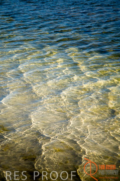 October 2006 / KI_CHAPMAN_RIVER_013_061016