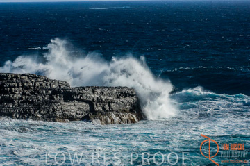 October 2006 / KI_FLINDERS_CHASE_010_061014