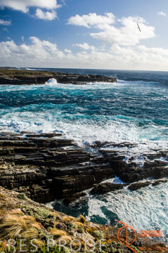 October 2006 / KI_FLINDERS_CHASE_016_061014